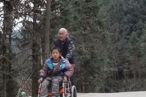 (VIDEO) Baka (76) svaki dan 4 godine gura kolica svog unuka (9) 24 KM kroz šumu i tako će sve dok može da hoda! AKO OVO NIJE LJUBAV...