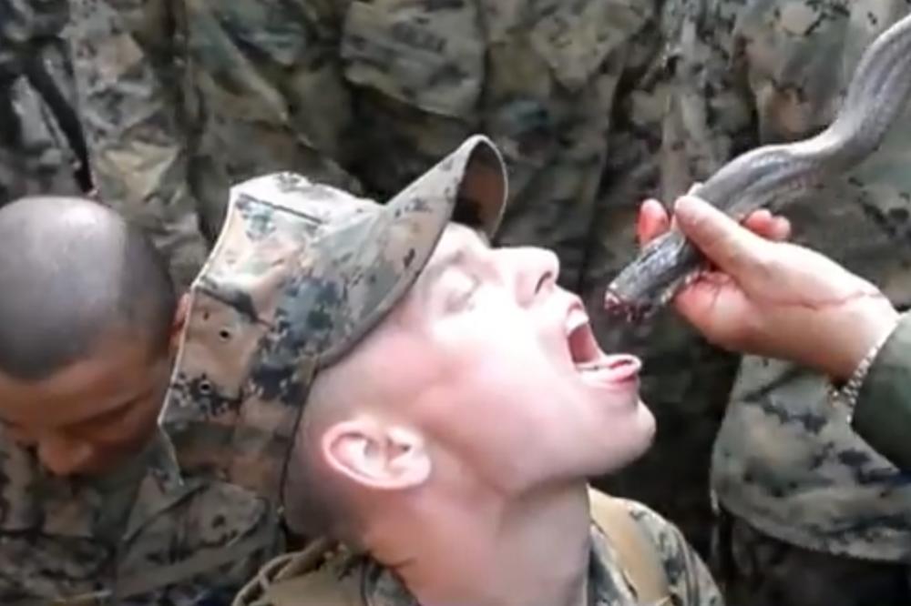 (VIDEO) BIZARNE VEŽBE VOJSKE SAD: Uhvate zmiju, odseku joj glavu, pa piju njenu krv