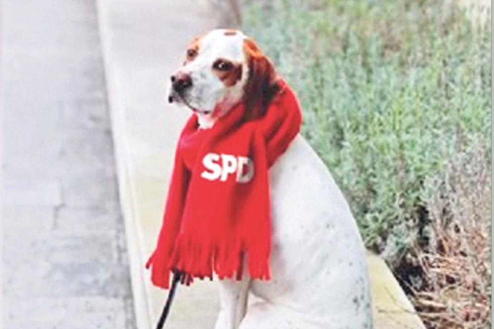 HIT U NEMAČKOJ! SOCIJALDEMOKRATE SE PROPISNO OBRUKALE: Učlanili psa u SPD da bi glasao o koaliciji