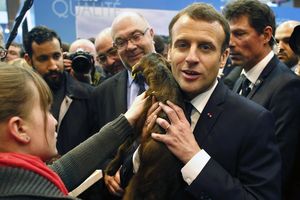 MAKRON USVOJIO KOKOŠKU: Francuski predsednik ima novog ljubimca!