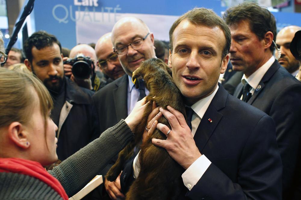MAKRON USVOJIO KOKOŠKU: Francuski predsednik ima novog ljubimca!