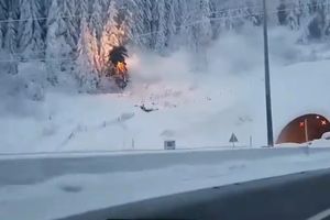 (VIDEO) HAOS NA AUTO-PUTU U HRVATSKOJ: Stablo palo na dalekovod, pa se zapalilo
