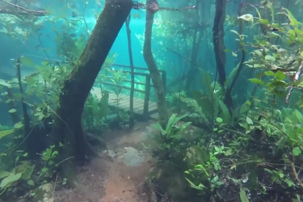 (VIDEO) UMESTO PUSTOŠI, POPLAVE SU OVDE NAPRAVILE REMEK-DELO: Pogledajte kako poznati park izgleda pod vodom