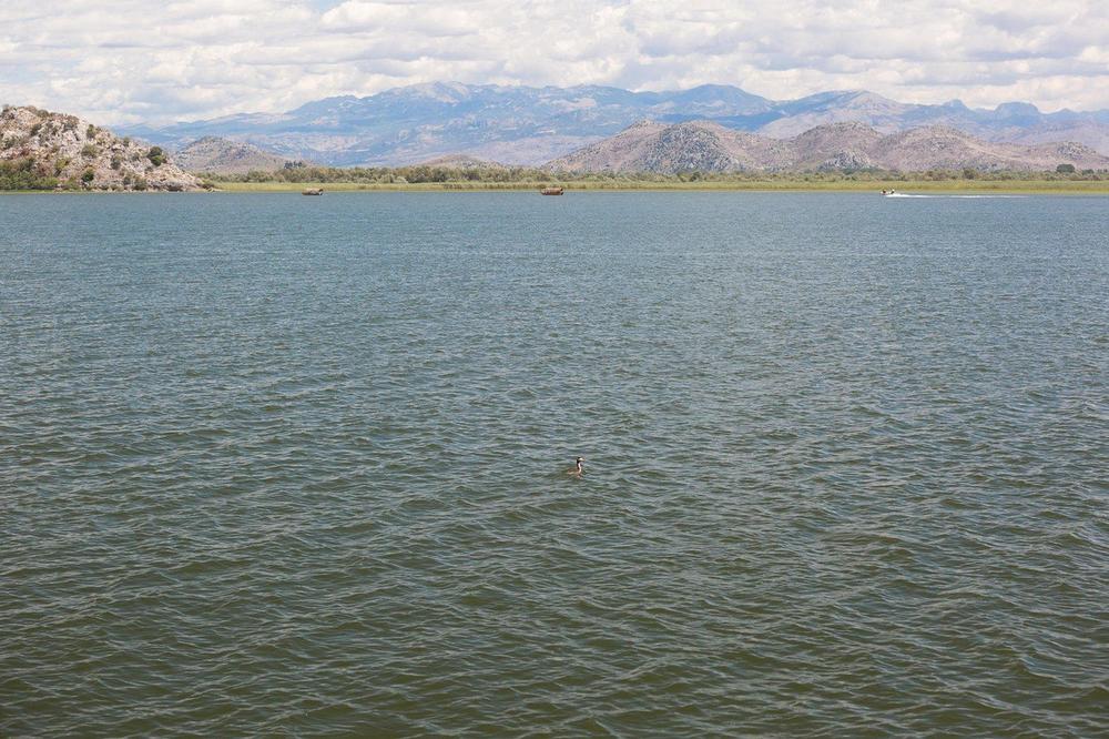OPASNOST OD VEĆIH POPLAVA: Nivo Skadarskog jezera porastao za 22 centimetara za samo jedan dan!