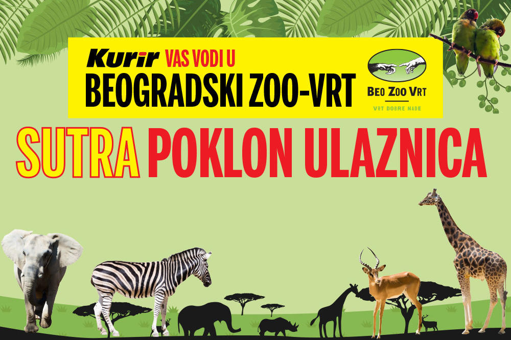 SUTRA POKLON ULAZNICA U KURIRU Vodimo vas u Beogradski zoološki vrt