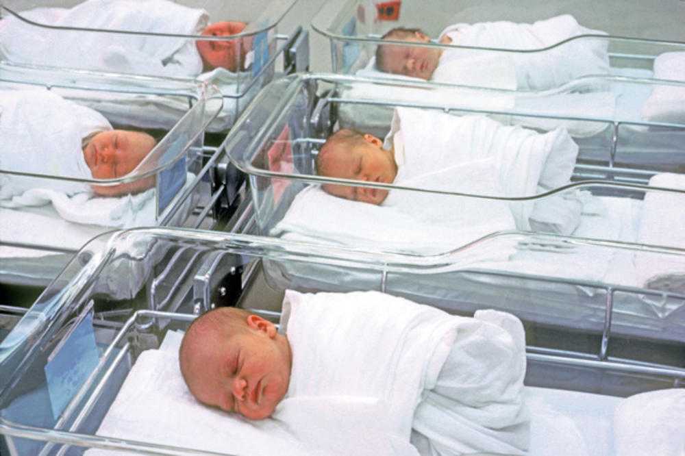 BORBA PROTIV BELE KUGE: Rezultati podstreka za rađanje tek za 15 godina