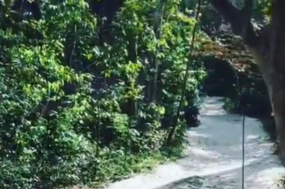(VIDEO) NOLE JE PRONAŠAO SVOJ MIR: Pogledajte kako se Đoković na nesvakidašnji način priprema za svoj meč u Majamiju