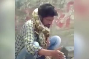 (UZNEMIRUJUĆI VIDEO) NASTUP KRENUO PO ZLU: Stavio je zmiju oko vrata i pao, niko nije shvatio da ga je piton stvarno ugušio!