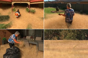 TEROR U AUSTRALIJI: Biljka se okomila na selo! POMAGAJTE, NE MOŽEMO DA SE SPASEMO!