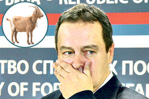 DRAMA U AFRICI: Ivica Dačić pojeo kozji gulaš pa se otrovao! Završio na infuziji!