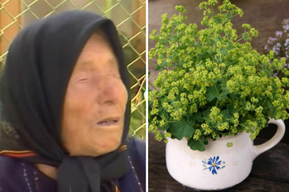 OVO JE BABA VANGIN SPISAK OD A DO Š: Za lečenje svake bolesti postoji biljka, OVO SU RECEPTI!