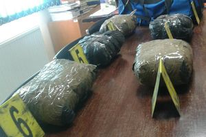 REKORDNE ZAPLENE DROGE: Veliki udar na narko-mafiju u Žablju