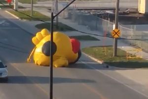 (VIDEO) ODVEZALA SE ŽUTA PATKA: Ogromna gumena životinja zakrčila put i napravila HAOS!