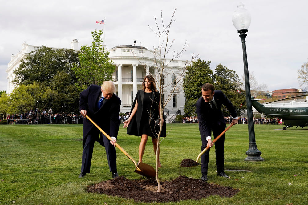 (VIDEO) REŠENA MISTERIJA MAKRONOVOG HRASTA: Evo gde je završilo drvo koje je francuski predsednik zasadio kod Bele kuće