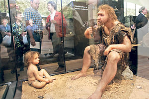 REKONSTRUKCIJA ROĐAKA HOMO SAPIJENSA Napravljen 3D model mozga neandertalca!