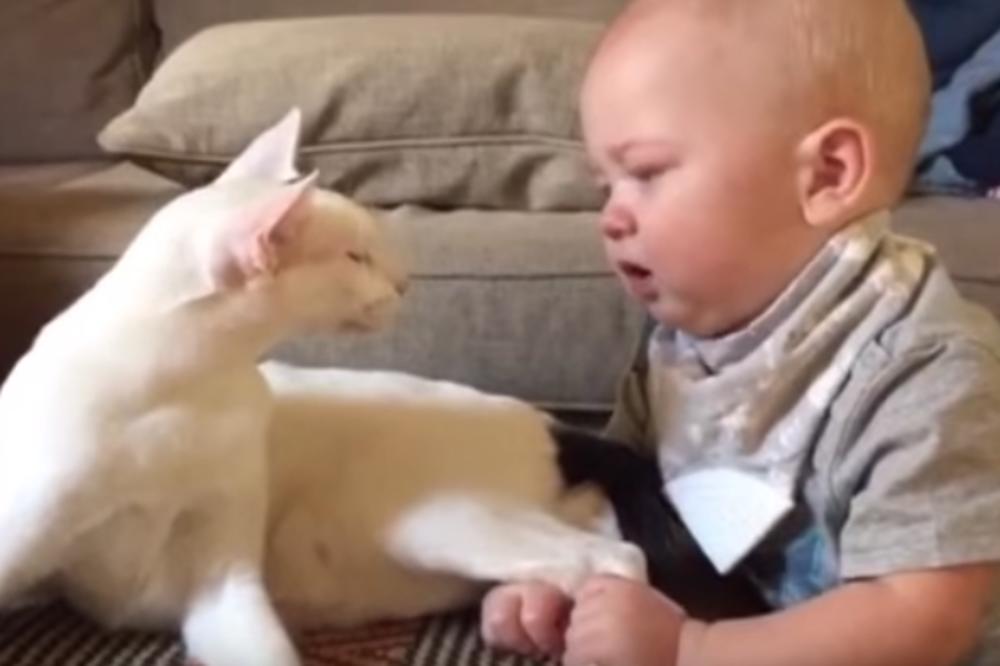 (VIDEO) OVO JE SASVIM NEOČEKIVANO: Bebac je uhvatio za nogu, a ONO što je mačka uradila će vas ODUŠEVITI!