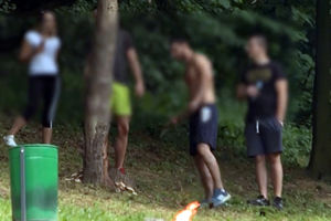 PODNETE KRIVIČNE PRIJAVE: Policija saslušala mladiće koji su posekli stablo u Košutnjaku!