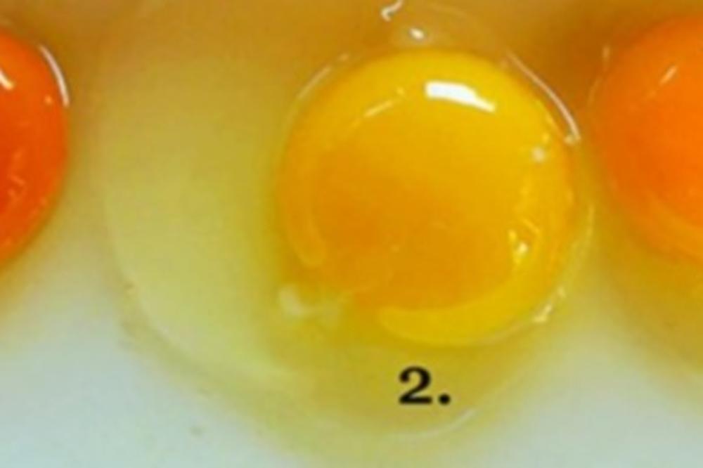 (FOTO) IZABERITE JEDNO OD TRI ŽUMANCETA: Pogodite koje jaje je snela zdrava kokoška
