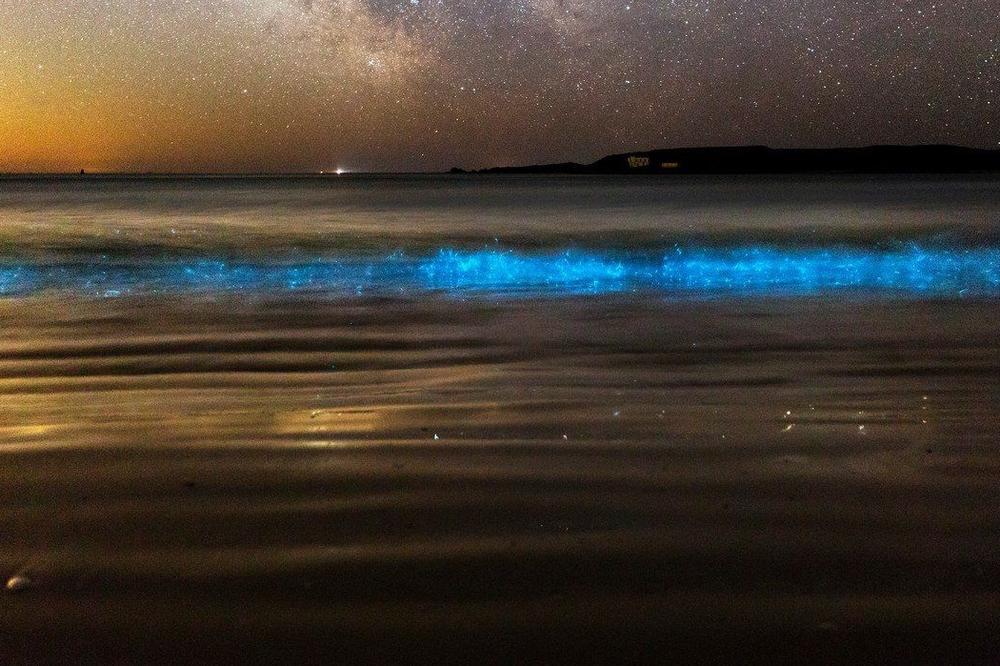 SVAKI POKRET STVARA MAGIJU: Plaže u San Dijegu noću neonski svetle, a surf i hod po pesku izgledaju ovako! (VIDEO)
