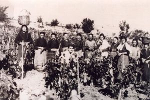 MAKEDONSKI SELFI IZ 1928. GODINE: Berači grožđa i fotograf zajedno na slici iz vinograda