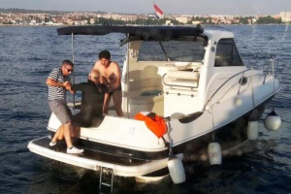 ŠVEĐANIN POPIO FLAŠU VINA, PA OTIŠAO DA PLIVA: Zadarski spasioci ga našli polumrtvog, jedva ga izvukli na sigurno (FOTO)
