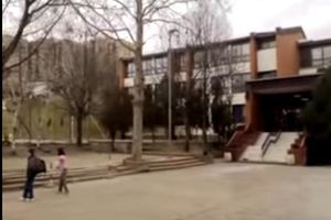 DRAMA U MIRIJEVU: Zmija uplašila mališane u školskom dvorištu