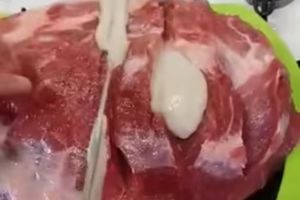 OVO JE NEŠTO NAJGADNIJE ŠTO ĆETE DANAS VIDETI: Puljanin se spremio da ispeče meso, ali kada je krenuo da ga seče, sve mu je preselo (VIDEO)