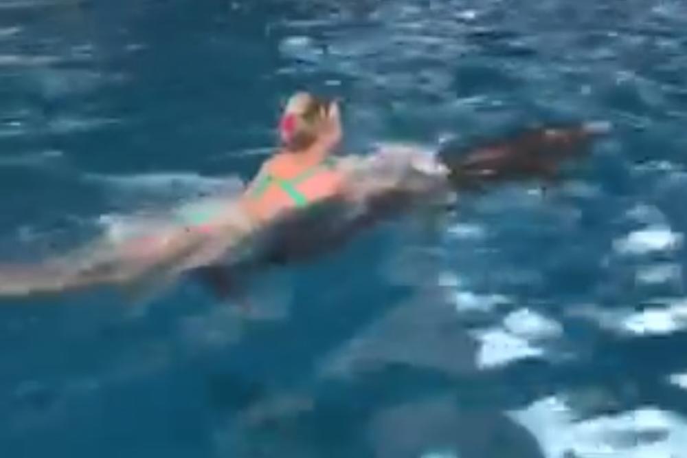 SAMO JOŠ TO NIJE URADILA: Zaharova zaplivala sa delfinima (VIDEO)