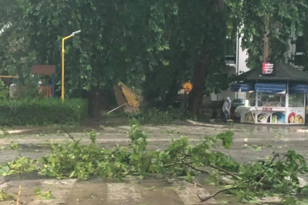 OLUJA PROTUTNJALA I KROZ BiH: Vetar rušio stabla, saobraćaj bio blokiran
