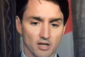 ISPRAVKA - Ne, kanadskom premijeru nisu otpale lažne obrve, u pitanju je loše osvetljenje