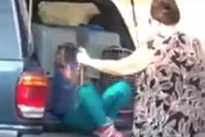 BABA MONSTRUM: Prevozila unuke u KAVEZU ZA PSE u gepeku, a njeno objašnjenje je RAZBESNELO POLICAJCE (VIDEO)