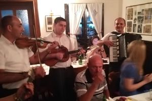 KRALJ FOLKA PODRŽAO EMIRA HABIBOVIĆA: Pogledajte kako peva Šabanov naslednik (KURIR TV)
