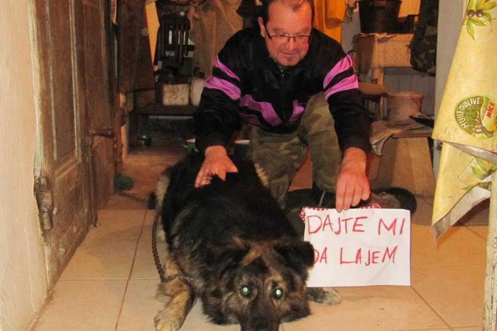 ISPRAVLJENA VELIKA NEPRAVDA: Pas Medo, koji je osuđen JER LAJE, oslobođen posle 3 godine u pritvoru
