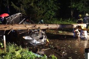 NEVREME POHARALO ŠTAJERSKU: Drvo palo na automobil, povređeno troje ljudi! (FOTO)