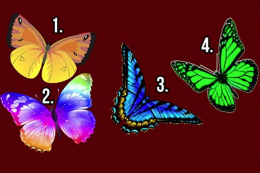 SVAKI NOSI POSEBNU PORUKU: Izaberite najlepšeg leptira i otkrijte tajne svoje duše!