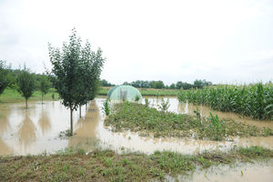 SLUŽBE U PRIPRAVNOSTI: Srbiju ne očekuje scenario sa poplavama iz 2014.