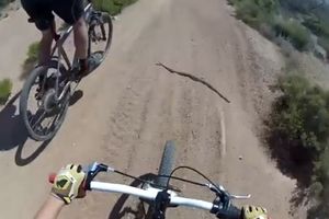 O NE ZMIJA! Dečak je vozeći bicikl naleteo na ogromnu opasnu zmiju! OD STRAHA JE PAO PORED NJE...(VIDEO)