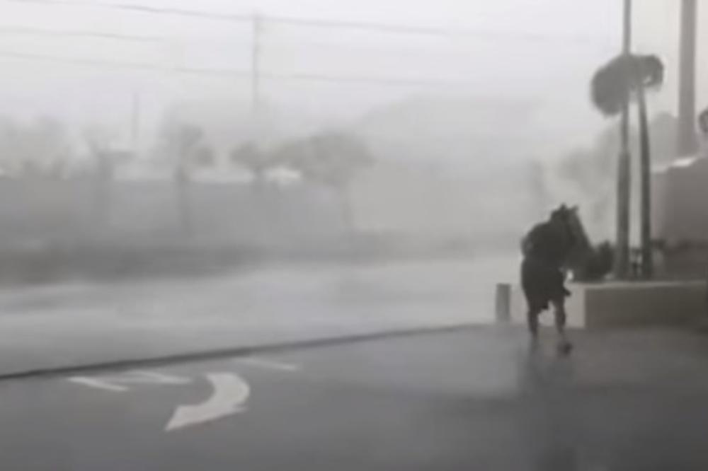 TAJFUN MARIJA POGODIO TAJVAN: Evakuisano više od 2.000 ljudi, stotine letova otkazano! (VIDEO)