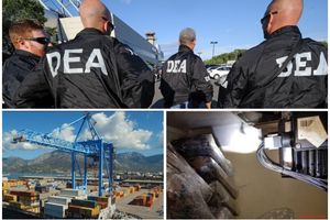 CRNOGORSKA BANANA ZA AMERIČKU POLICIJU: Carinici u barskoj luci zaplenom kokainske pošiljke upropastili planiranu akciju DEA za otkrivanje lanca narko-mafije! (FOTO)