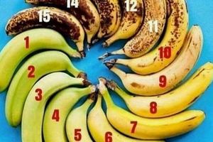 IZABERITE BANANU OD 1 DA 15!  Ako imate višak kilograma ili dijabetes, NIKAKO ne smete da jedete OVAKVE banane iako ih OBOŽABATE!