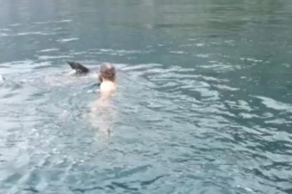 DIVNI SNIMCI IZ BOKE KOTORSKE: Delfin pratio brod 45 minuta, pa se na kraju igrao sa svima (VIDEO)