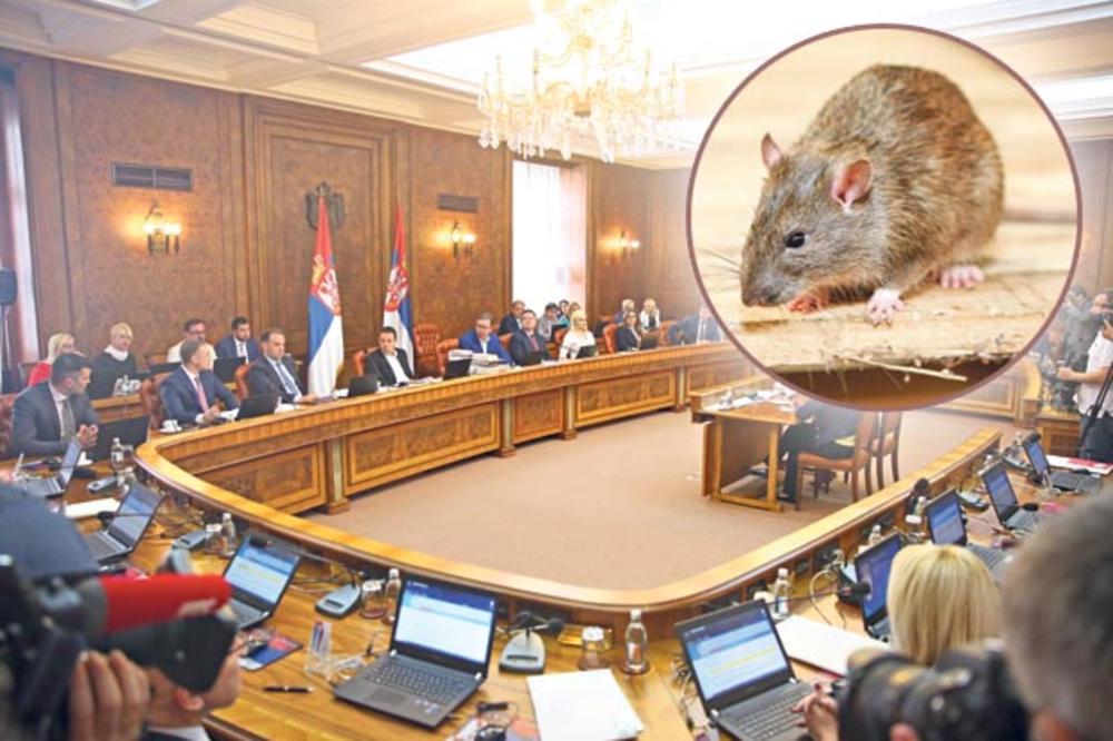 MINISTRI U PANICI! NEMANJINA 11 DOBILA GLODARE ZA SUSTANARE: Vlada puna miševa, po hodnicima mišolovke i otrovi!