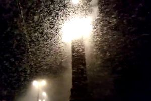 SMAK SVETA KAO IZ BIBLIJE: Insekti su prekrili grad, nastao je mrak, a vozači nisu videli prst pred okom! (VIDEO)