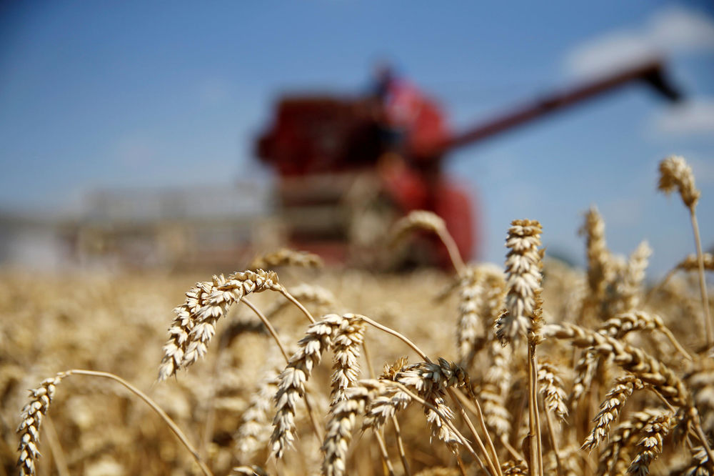 Ukrajina mesečno izvozi oko sedam miliona otna žitarica
