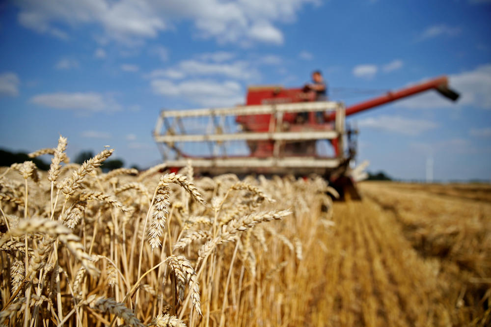 UOČI SEDNICE VLADE SRBIJE U ČETVRTAK: Otkupna cena za kilogram pšenice 20 dinara