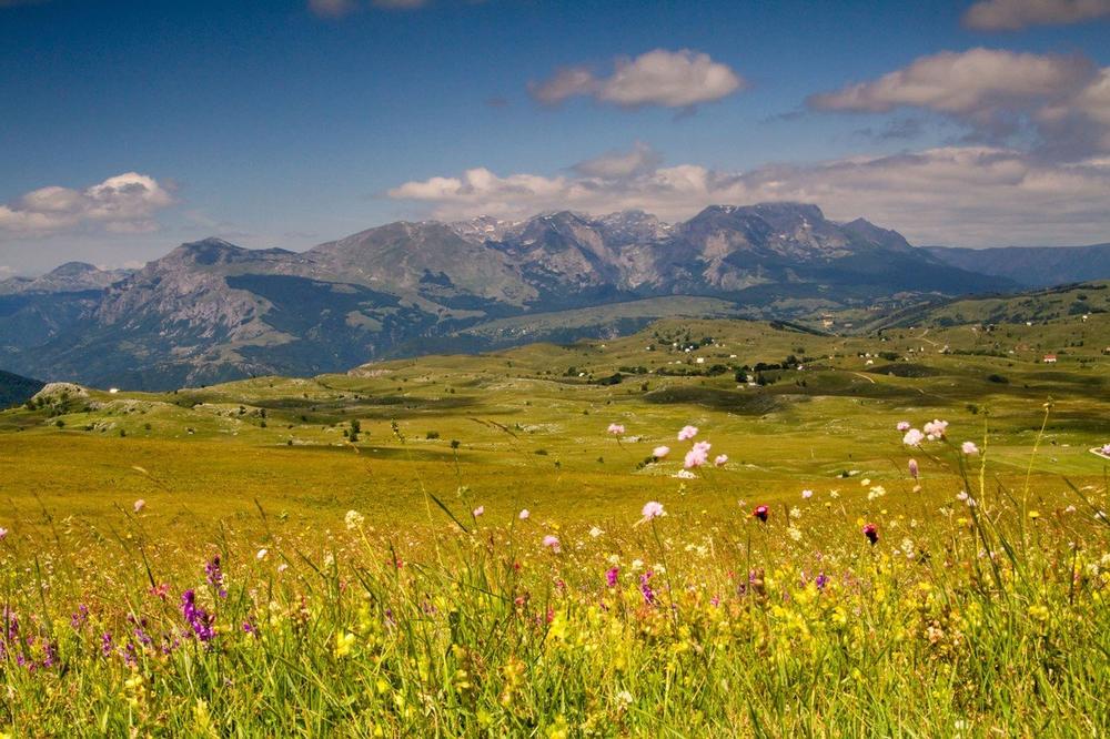 NARANDŽASTI METEOALARM U CRNOJ GORI: Najavljene nepogode, na pojedine delove se već sručio grad