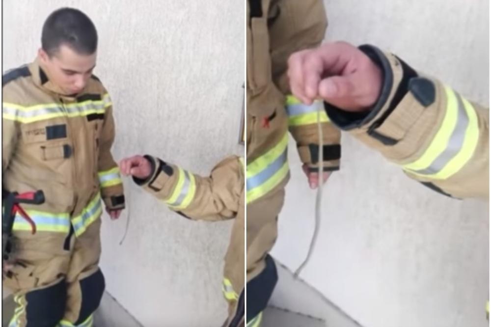 NEPRIJATNO IZNENAĐENJE U TOALETU: Splićani pozvali vatrogasce u pomoć kada su videli zmiju! (VIDEO)
