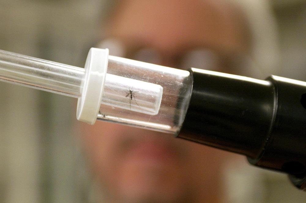 VIRUS ZAPADNOG NILA STIGAO I U SLOVENIJU: Infekcija koju prenose komarci se širi regionom, a evo gde ima najviše obolelih!