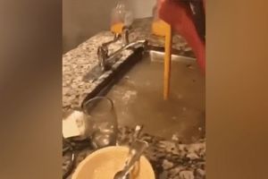 KAKAV URNEBES, OVO ĆE VAS NASMEJATI DO SUZA! Otpušavala je sifon i odvalila celu sudoperu (VIDEO)