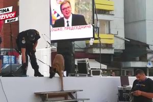 POSLEDNJE PRIPREME PRED MITING! Ovde će Vučić održati govor pred građanima Kosovske Mitrovice! (KURIR TV)